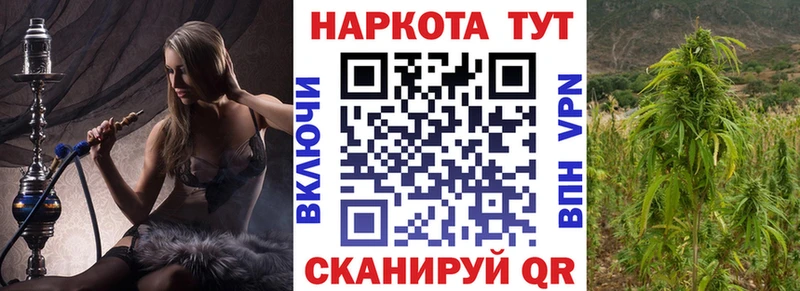 Где продают наркотики Шали Alpha-PVP  Мефедрон  ГАШ  Конопля  Cocaine 