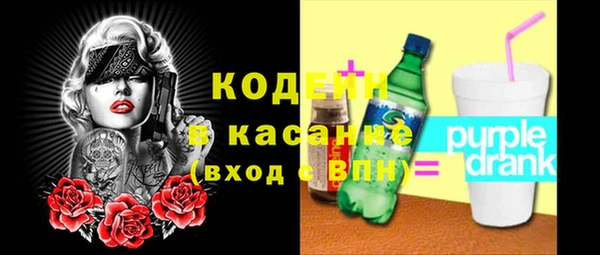хмурый Абаза