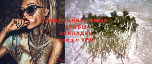 хмурый Абаза