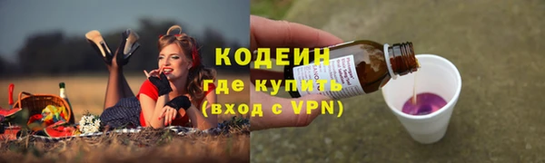 хмурый Абаза