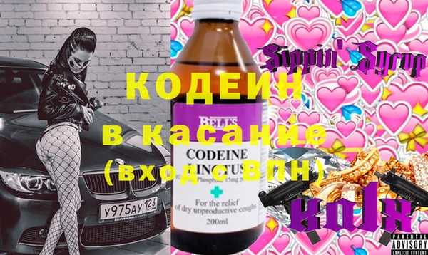 хмурый Абаза