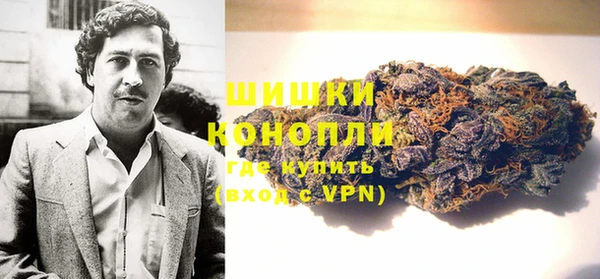 хмурый Абаза
