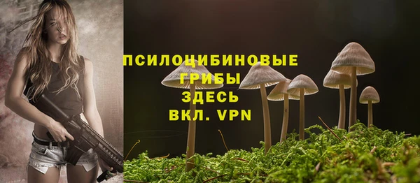 молекула духа Абинск