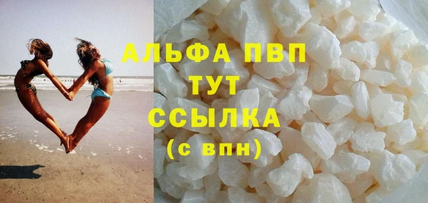 хмурый Абаза