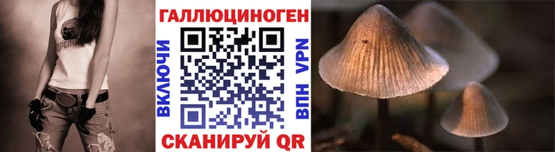 Галлюциногенные грибы Cubensis где купить Шали