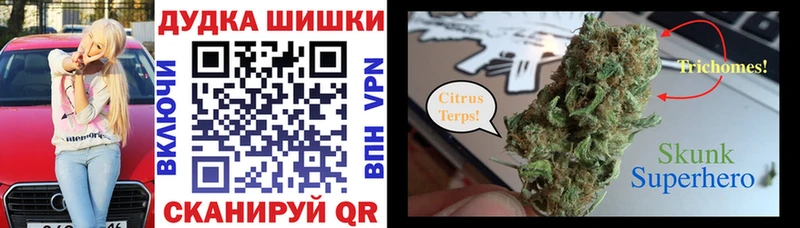 Каннабис план  Шали 